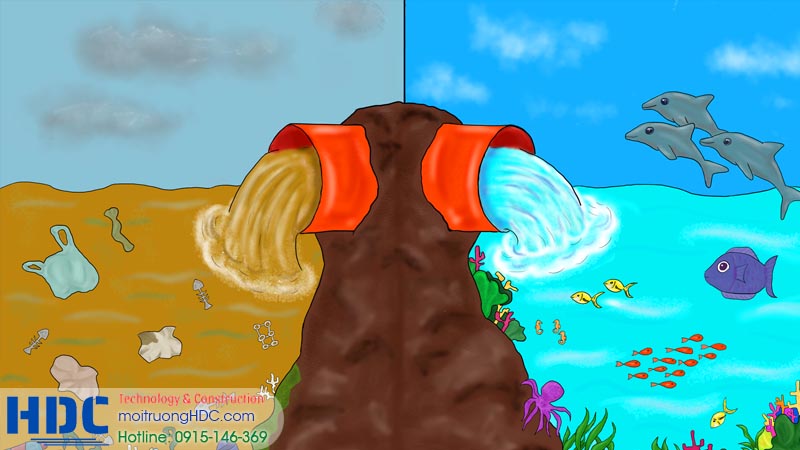 đặc tính và phân loại của nsth