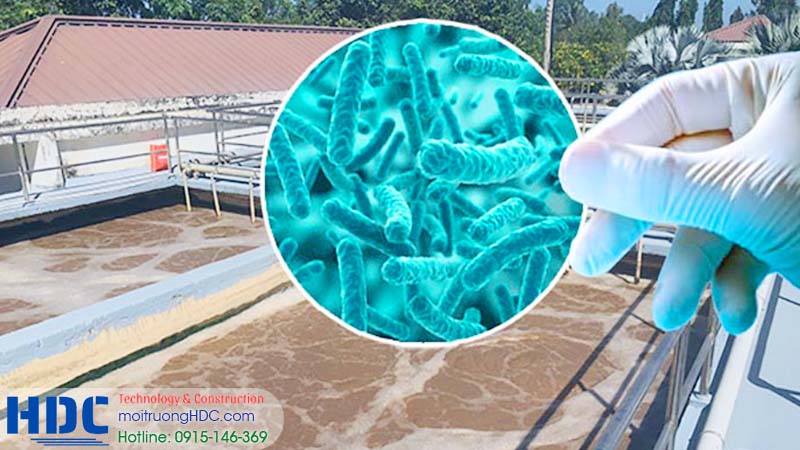 HDC hướng dẫn cách bổ sung vi sinh cho các trạm xử lý nước thải y tế ở hà nội