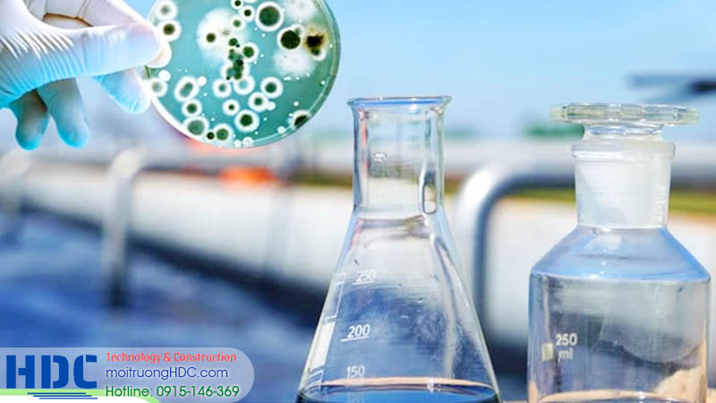 Cách để xác định hàm lượng cho bể xử lý nước thải