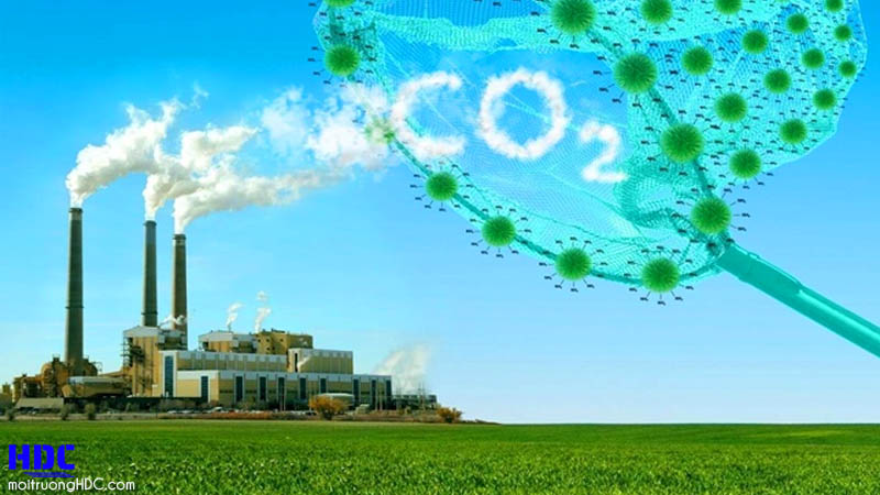 Nọi dung quy chế pháp luật trong xử lý khí