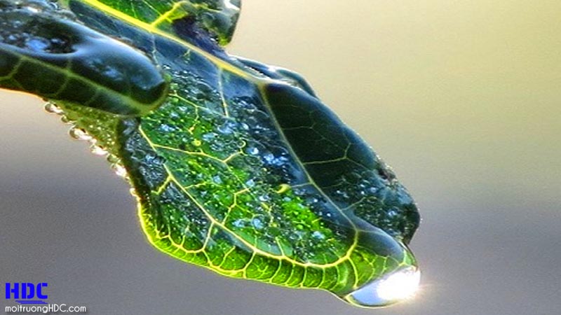 Ứng dụng thực tế