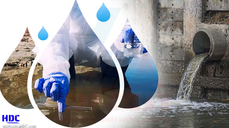 Giới thiệu cách hoạt động của vi sinh kỵ khí