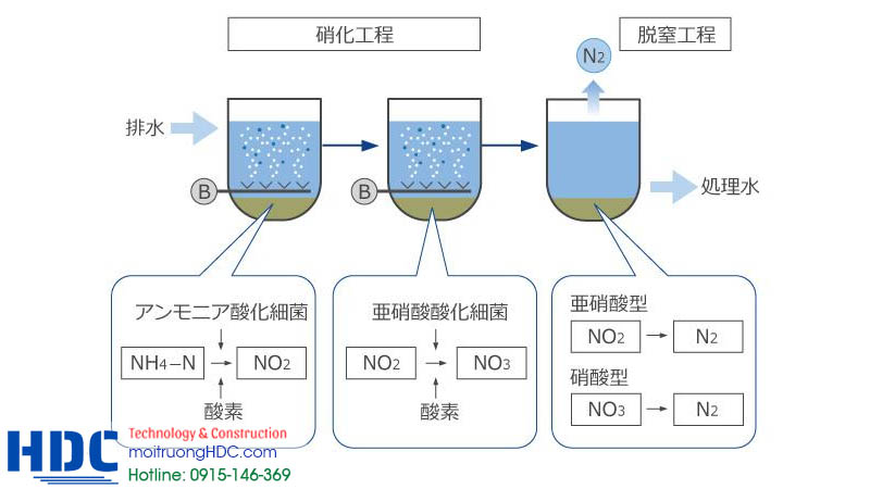 Cơ chế xử lý của bể này ra sao trong hệ thống xử ý nước thải