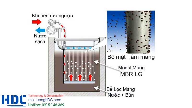DO không phù hợp – ảnh hưởng trực tiếp đến cấu trúc biofilm