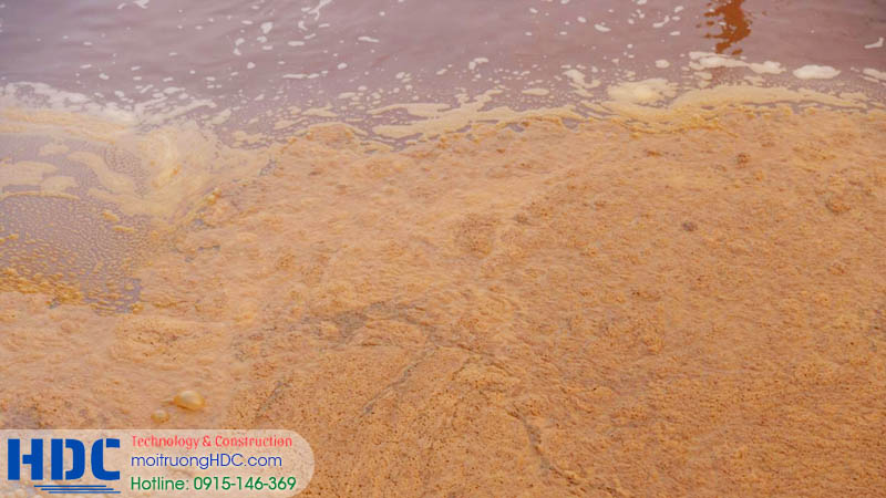 Top 5 nguyên nhân phổ biến khiến hệ thống xử lý nước thải gặp sự cố