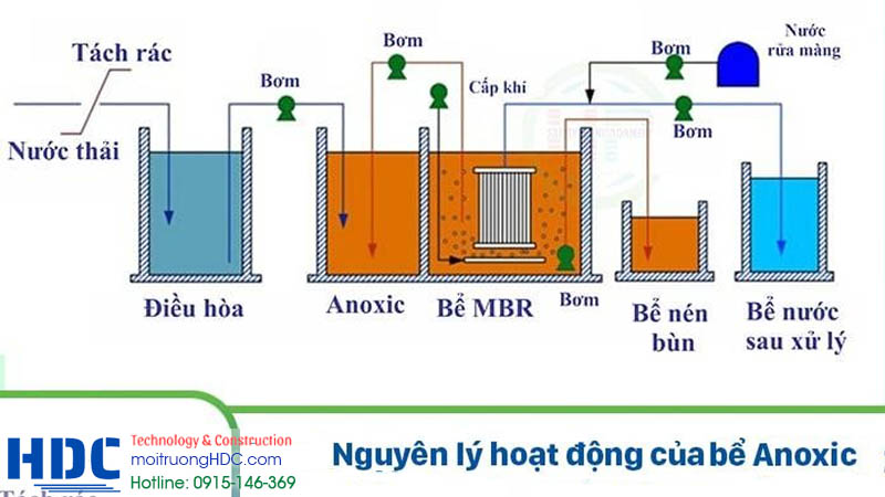 Vì sao bể thiếu khí không xử lý triệt để Nitơ