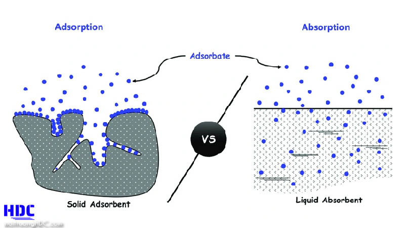 Giải thích hấp thụ là gì ?