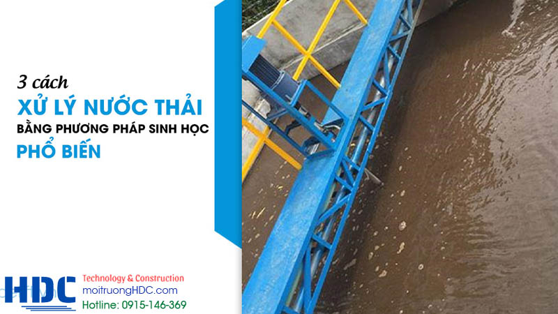 Các phương pháp xử lý nước thải bằng sinh học phổ biến