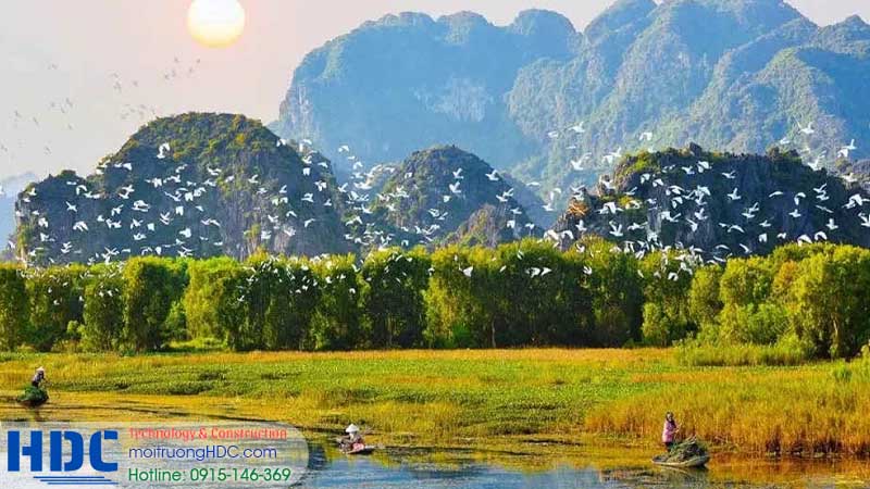 Tầm quan trọng của nước đối với sự sống con người